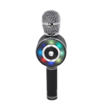 WSTER WS-669 WIRELESS MICROPHONE AND DISCO LIGHTS